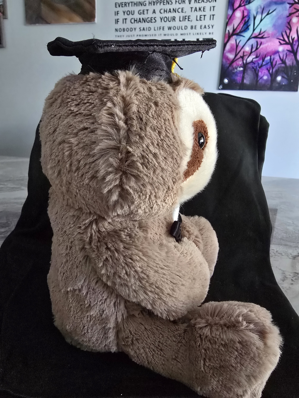 Graduate Sloth - Graduation Celebration! - Picture 4 of 4